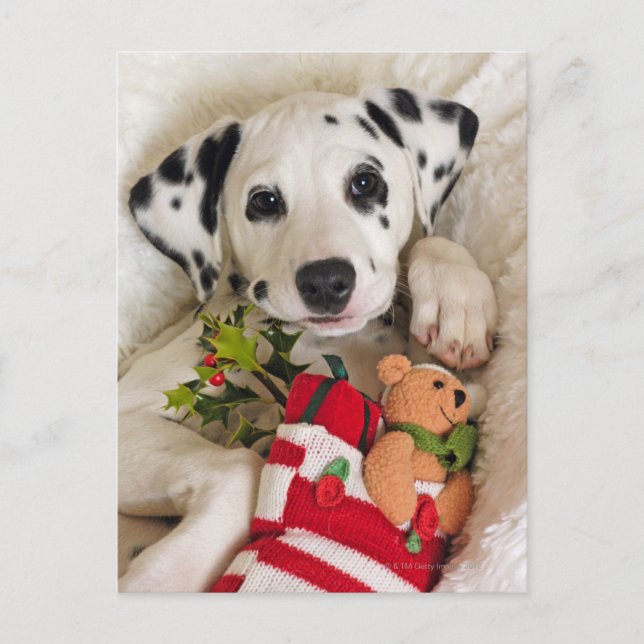 studio postcard (Front)