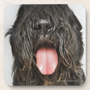 Studio shot coaster