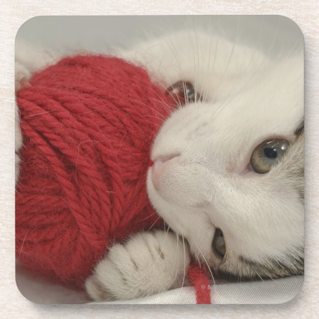 Studio shot coaster (Front)