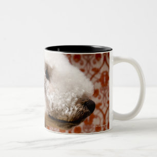 Studio shot of Bedlington Terrier Two-Tone Coffee Mug