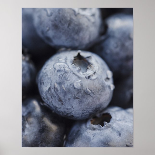 Studio shot of blueberries 2 poster (Front)