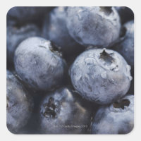 Studio shot of blueberries 3