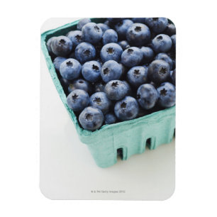 Studio shot of blueberries magnet