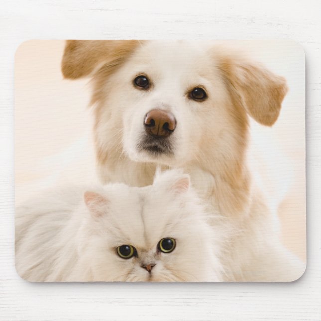 Studio shot of cat and dog mouse pad (Front)