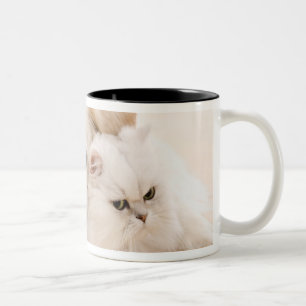 Studio shot of cat and dog Two-Tone coffee mug