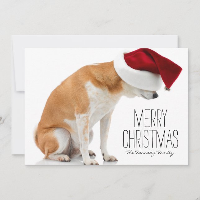 Studio shot of Shiba Inu dog wearing Santa hat Holiday Card (Front)