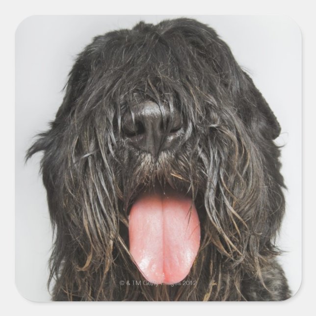 Studio shot square sticker (Front)