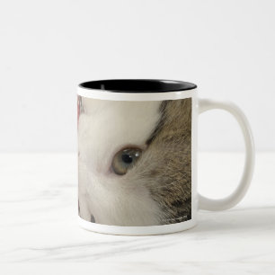 Studio shot Two-Tone coffee mug