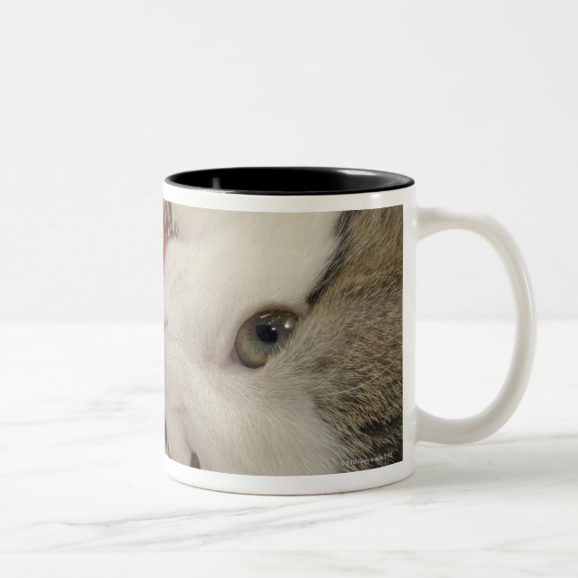 Studio shot Two-Tone coffee mug (Right)