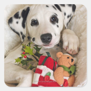 studio square sticker