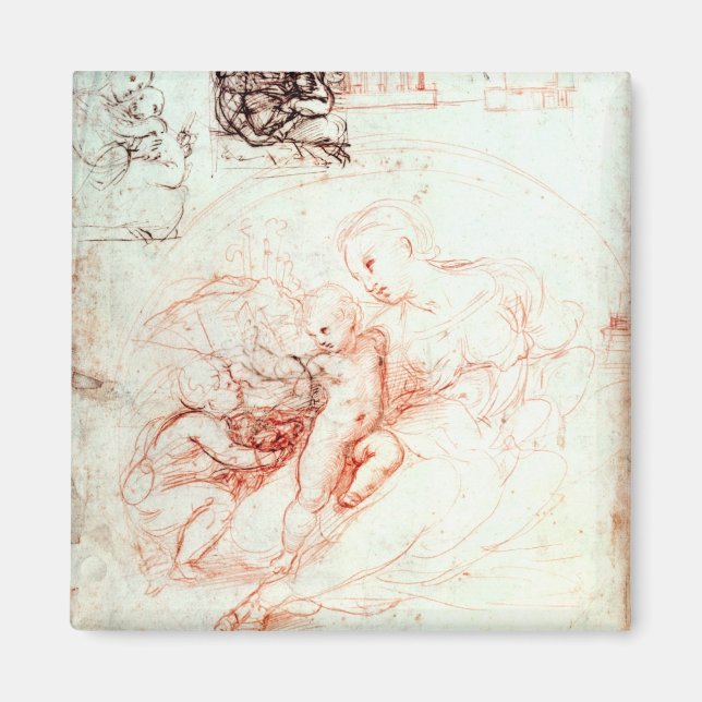 Study for the Alba Madonna, c.1508-09 Magnet (Front)