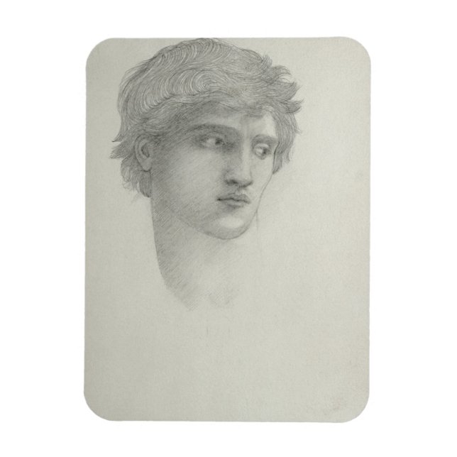 Study for the Head of Perseus (pencil on paper) Magnet (Vertical)
