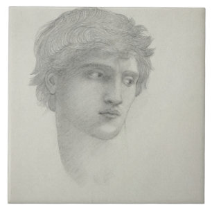 Study for the Head of Perseus (pencil on paper) Tile