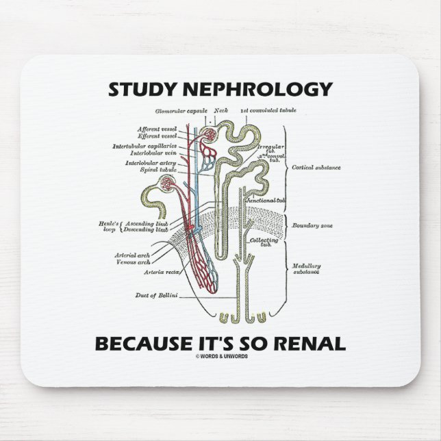 Study Nephrology Because It's So Renal Nephron Mouse Pad (Front)