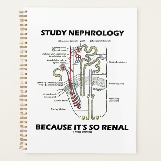 Study Nephrology Because It's So Renal Nephron Planner (Front)