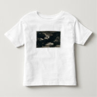 Study of a Clouded Moonlit Sky (black wash on laid