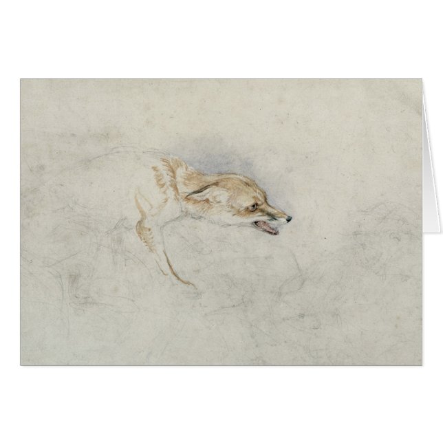 Study of a crouching Fox, facing right verso: fain (Front Horizontal)