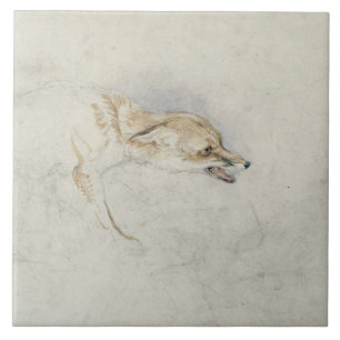 Study of a crouching Fox, facing right verso: fain Ceramic Tile
