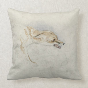 Study of a crouching Fox, facing right verso: fain Cushion