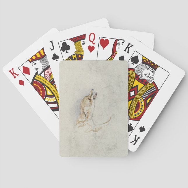 Study of a crouching Fox, facing right verso: fain Playing Cards (Back)