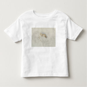 Study of a crouching Fox, facing right verso: fain Toddler T-Shirt