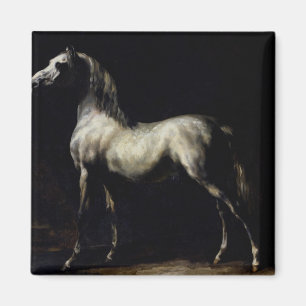 Study of a Dapple Grey Magnet