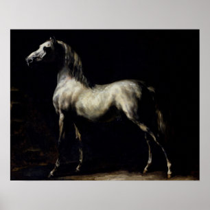 Study of a Dapple Grey Poster