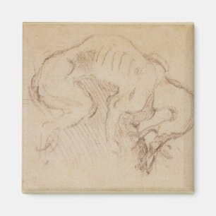 Study of a dog magnet