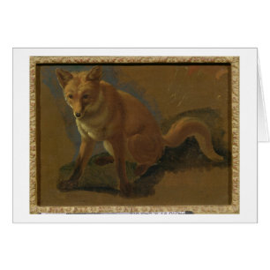 Study of a Fox (oil on panel)
