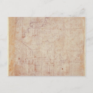 Study of a Head, 1525-26 Postcard