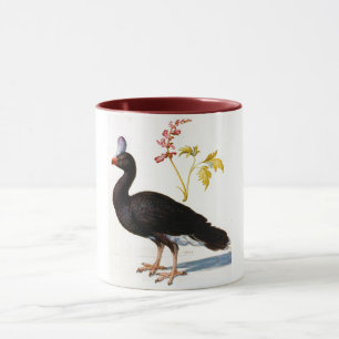 Study of a Helmeted Curassow, Arcimboldo Mug