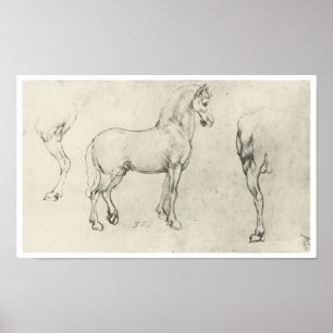Study of a Horse and It's Hindquarters, Da Vinci Poster