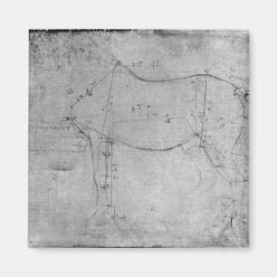 Study of a Horse Magnet