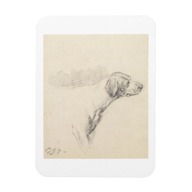 Study of a Hound, 1794 (pencil on paper) Magnet (Vertical)