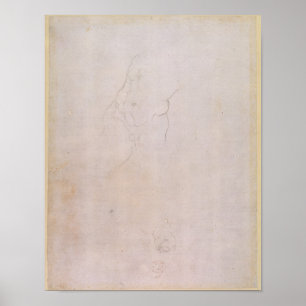 Study of a male torso poster