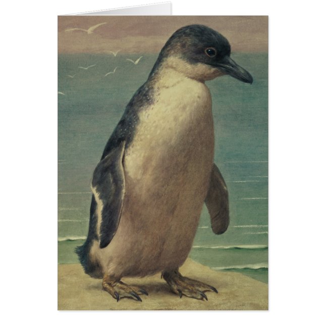Study of a Penguin (Front)