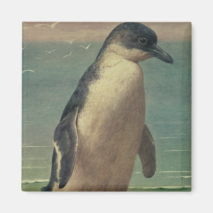 Study of a Penguin Magnet