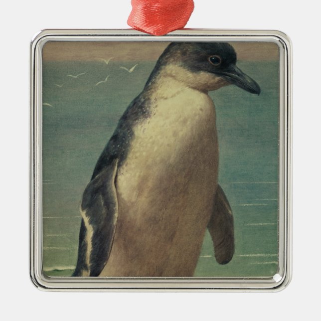 Study of a Penguin Metal Tree Decoration (Front)