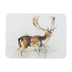 Study of a Stag Magnet