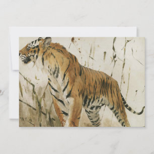 Study of a Tiger   Wilhelm Kuhnert