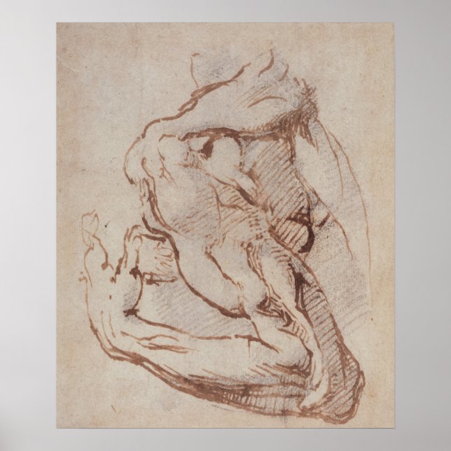 Study of an Arm  Inv.1859/5/14/819 Poster (Front)