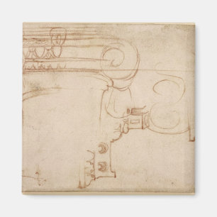 Study of an Ionic capital Magnet