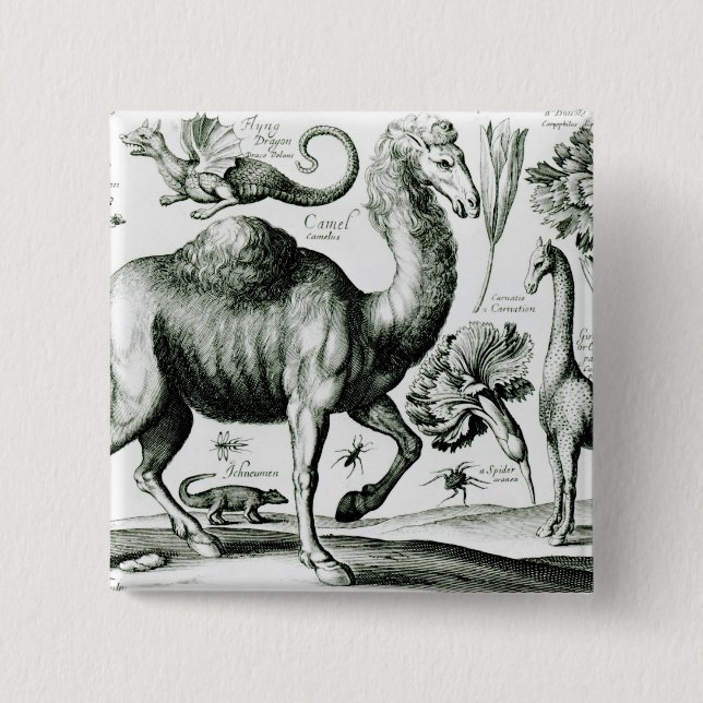 Study of Animals and Flowers, engraved 15 Cm Square Badge (Front)