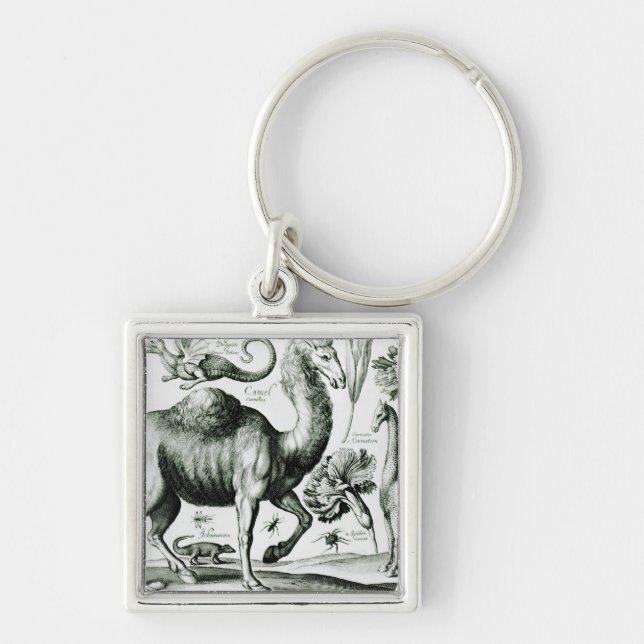 Study of Animals and Flowers, engraved Key Ring (Front)
