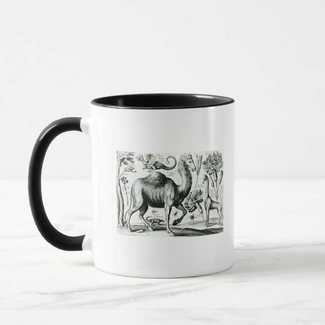 Study of Animals and Flowers, engraved Mug (Left)
