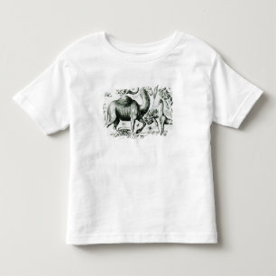 Study of Animals and Flowers, engraved Toddler T-Shirt