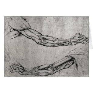 Study of Arms