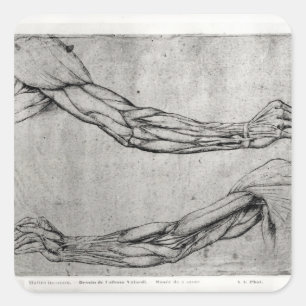Study of Arms Square Sticker