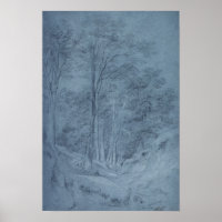 Study of ash and other trees