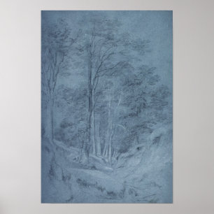 Study of ash and other trees poster